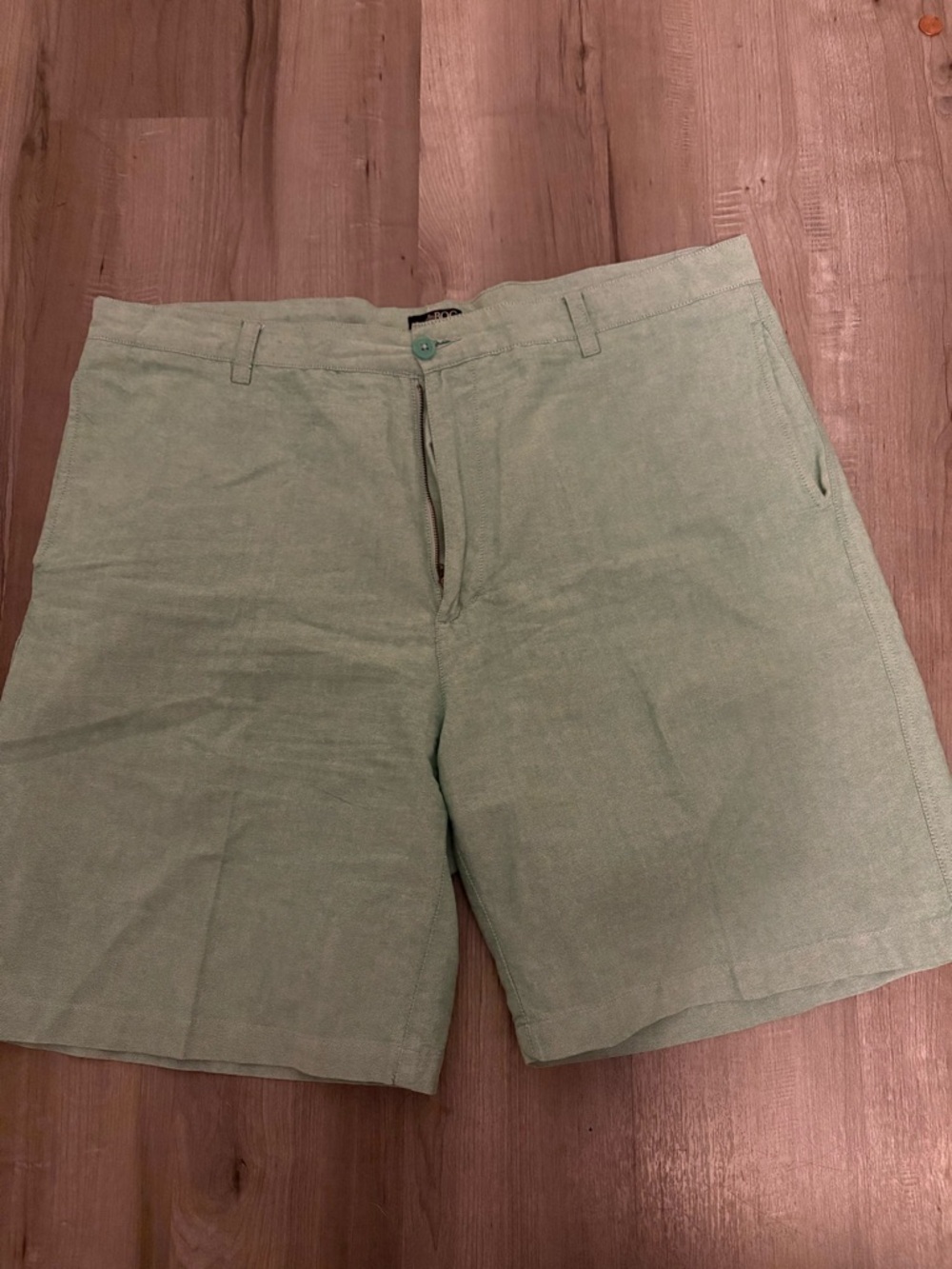 Men's Light Sage Flat-Front Casual Shorts